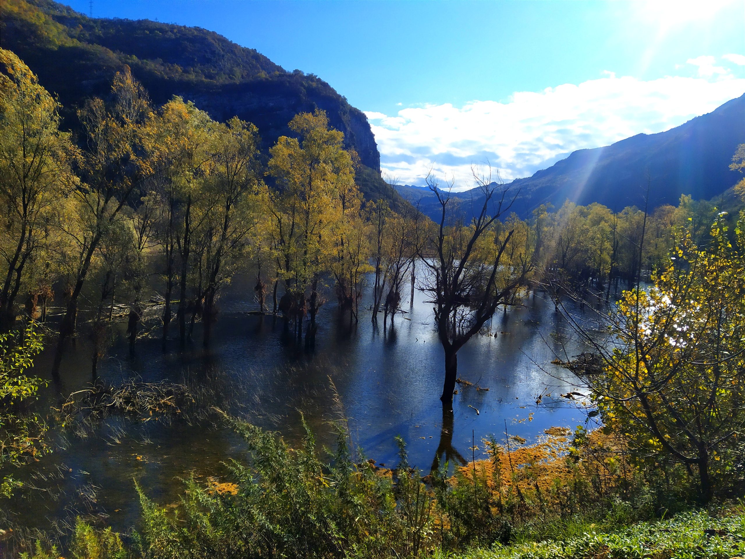 La storia del lago diventato palude.