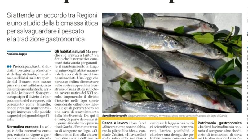Dietro un problema c’è un’opportunità…verso il “marchio di qualità” del pescato gardesano